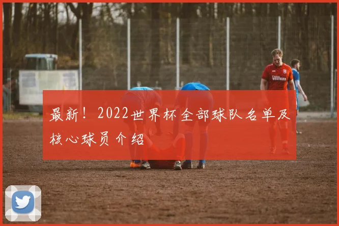 最新！2022世界杯全部球队名单及核心球员介绍