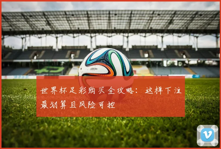 世界杯足彩购买全攻略：这样下注最划算且风险可控